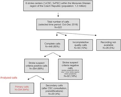 Content Analysis of Stroke Teleconsultation Recordings in the Moravian-Silesian Region, Czech Republic